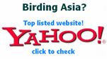 B2A Yahoo
              search image