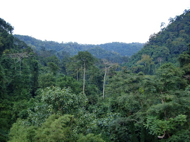 Chiang Dao temple view